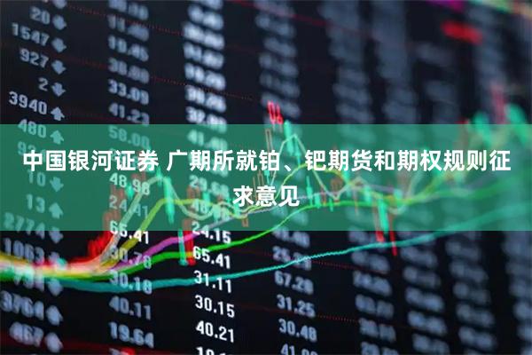 中国银河证券 广期所就铂、钯期货和期权规则征求意见