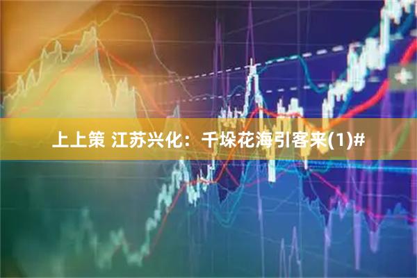 上上策 江苏兴化：千垛花海引客来(1)#