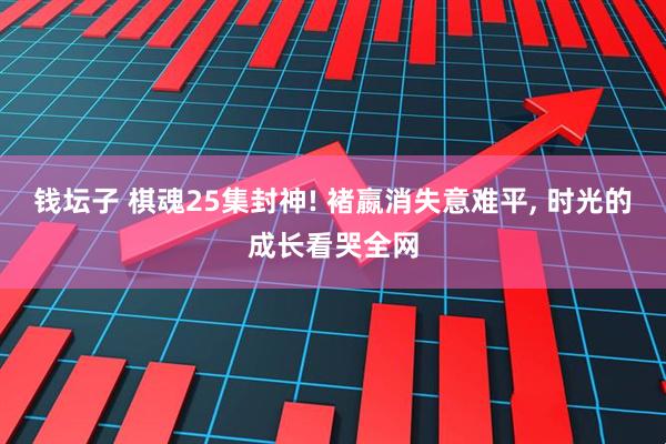 钱坛子 棋魂25集封神! 褚嬴消失意难平, 时光的成长看哭全网